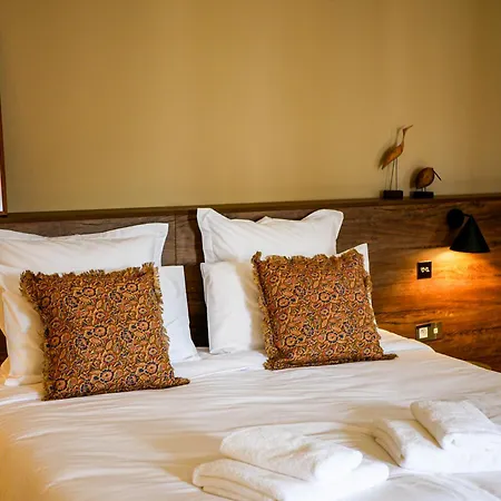 - And Cook Bed & Breakfast *